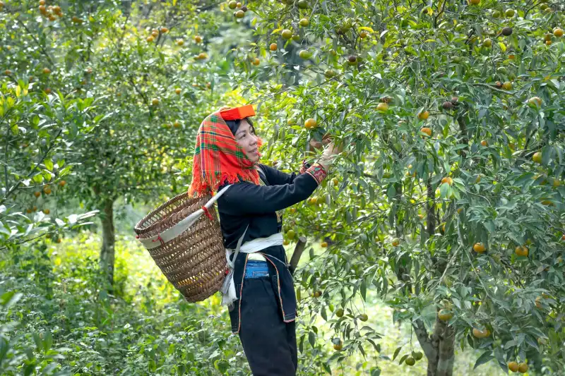 重庆美睫产品选购指南：孕妇可用低敏胶水的安全性解析